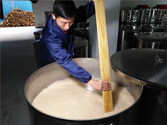 大米新工藝生料發(fā)酵中 大米新工藝生料發(fā)酵中